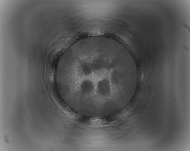 X0000099410315200805231611