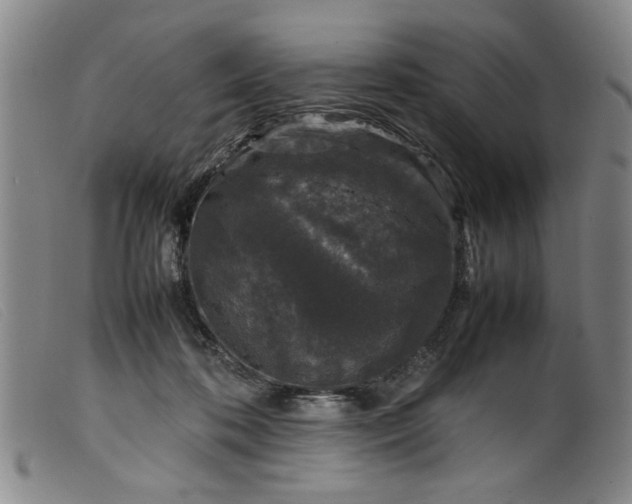 X0000099410316200805231611