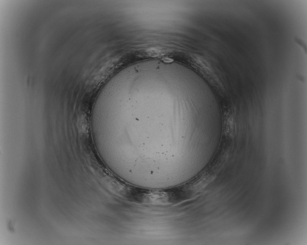 X0000099410317200805231611