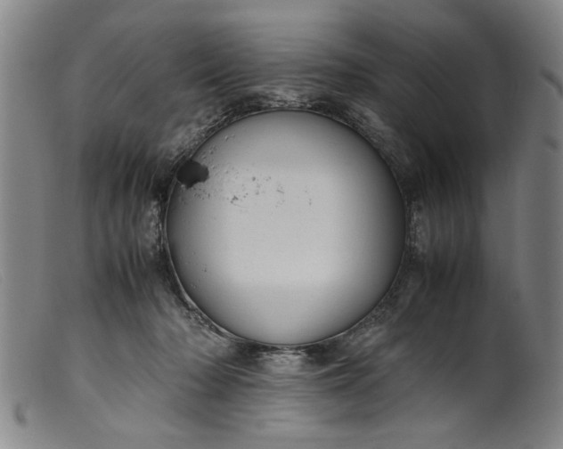 X0000099410318200805231611