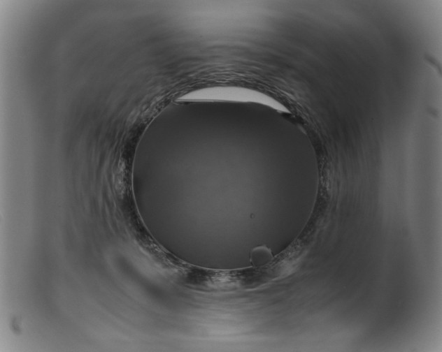 X0000099410319200805231611