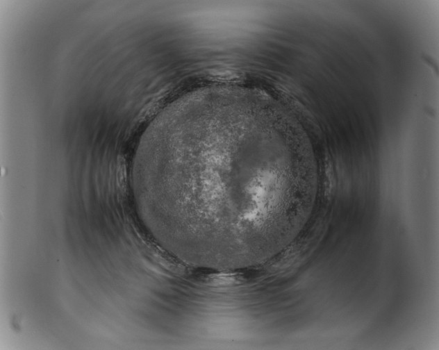 X0000099410320200805231611