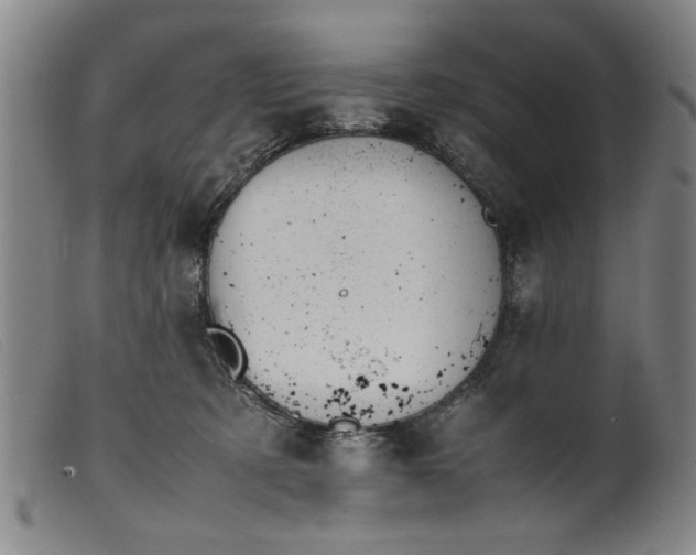 X0000099410321200805231611