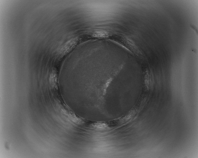 X0000099410322200805231611