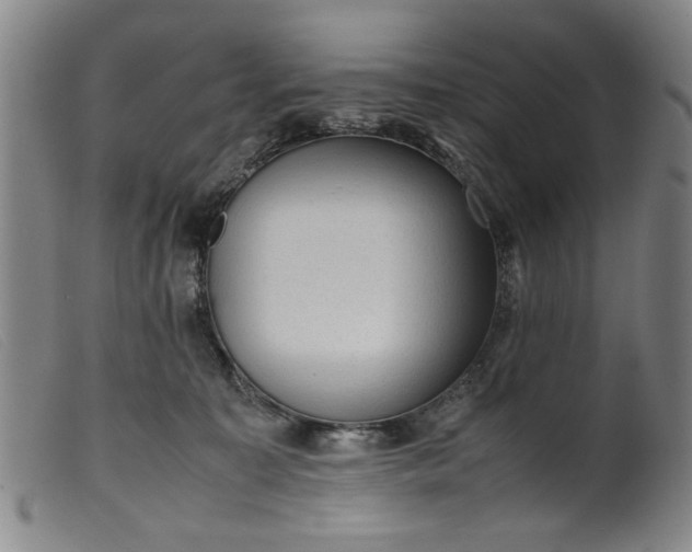 X0000099410323200805231611