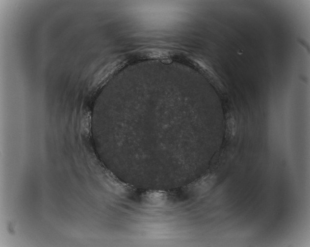 X0000099410325200805231611