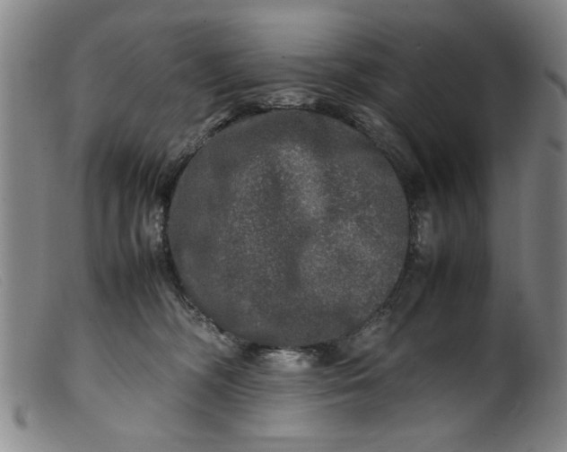 X0000099410326200805231611