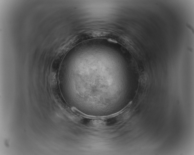 X0000099410327200805231611