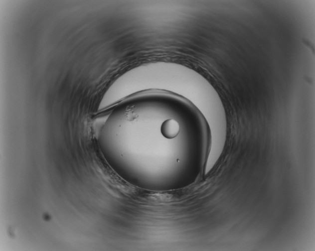 X0000099410328200805231611