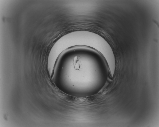 X0000099410329200805231611