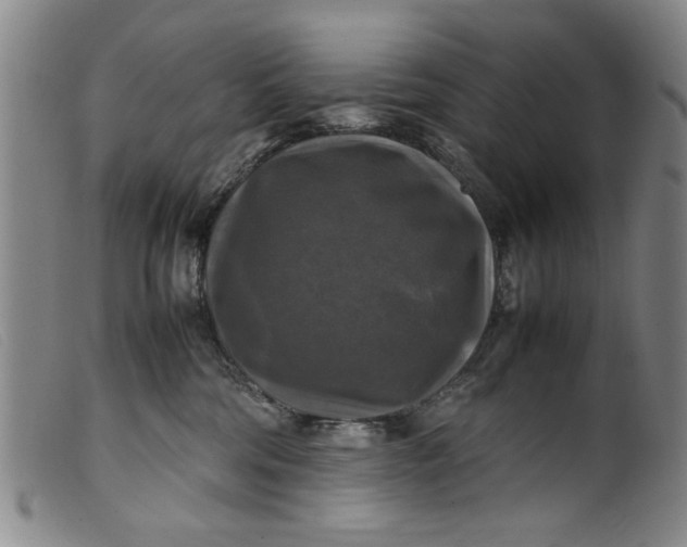 X0000099410330200805231611