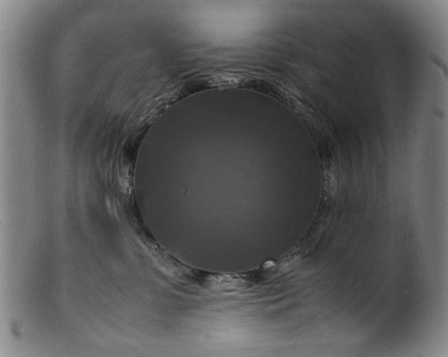 X0000099410331200805231611