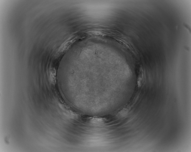 X0000099410332200805231611