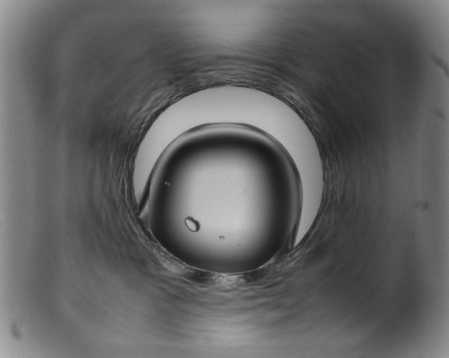 X0000099410333200805231611