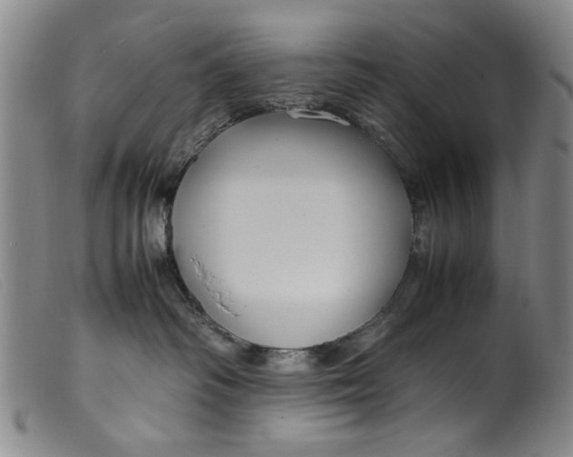 X0000099410334200805231611