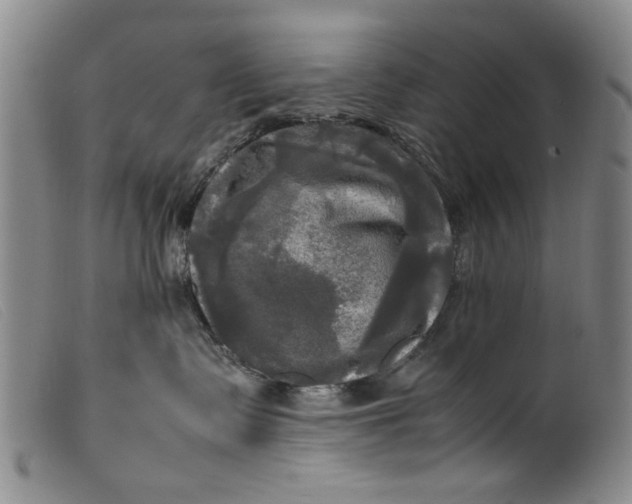 X0000099410335200805231610