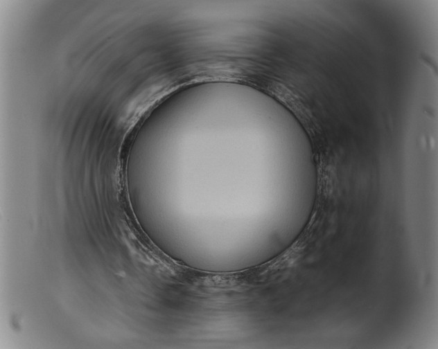 X0000099410338200805231610