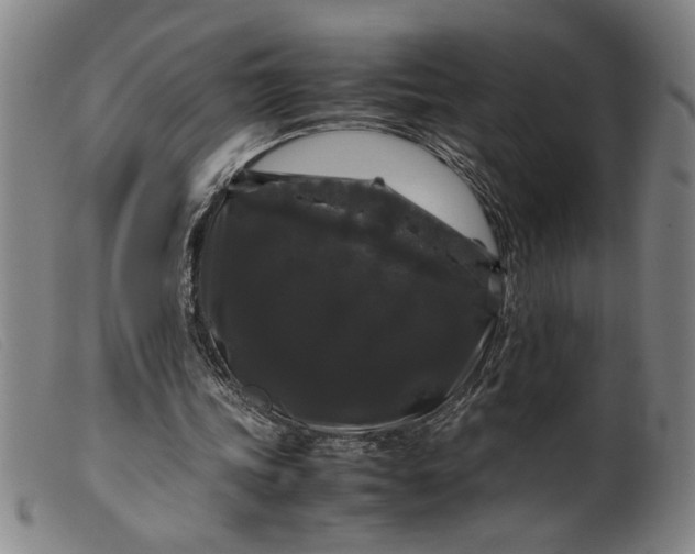 X0000099410339200805231610