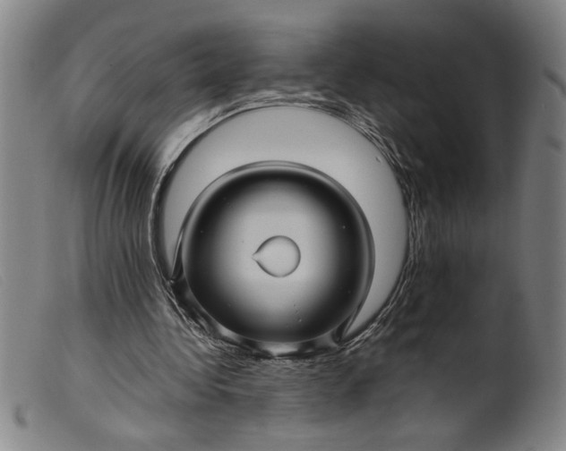 X0000099410340200805231610