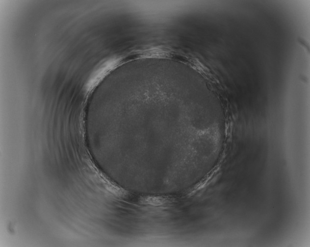 X0000099410341200805231610