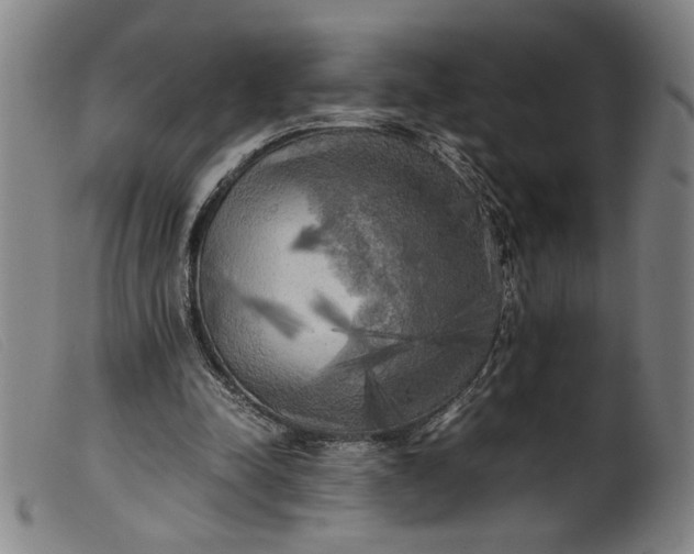 X0000099410342200805231610