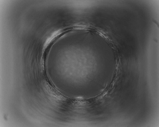 X0000099410343200805231610