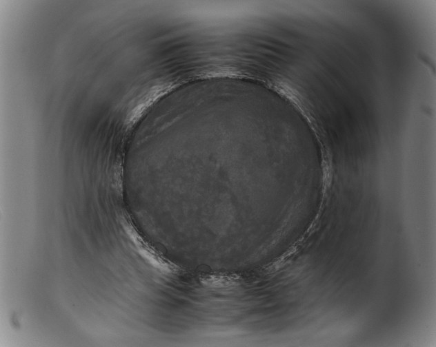 X0000099410345200805231610