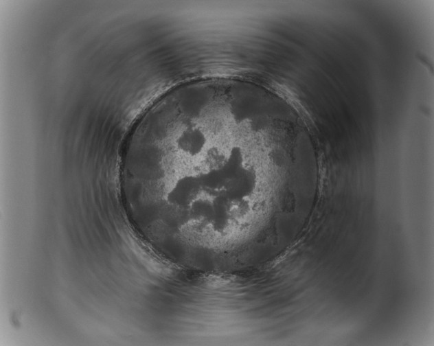 X0000099410346200805231610