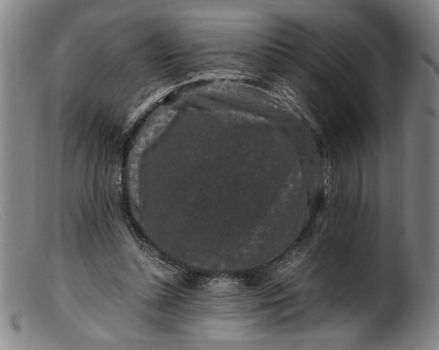 X0000099410348200805231610