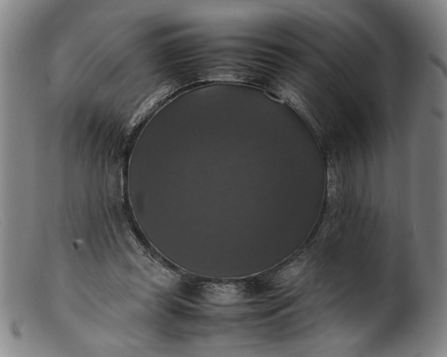 X0000099410349200805231610