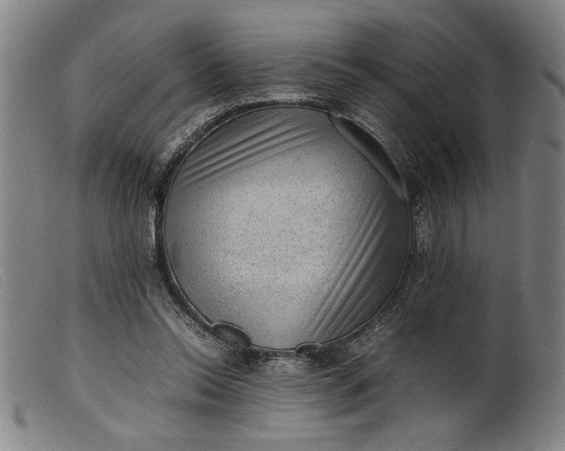 X0000099410350200805231610