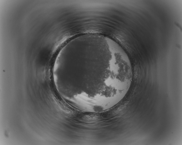 X0000099410351200805231610