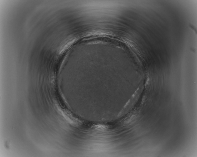 X0000099410352200805231610