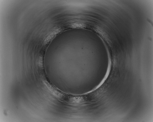 X0000099410353200805231610