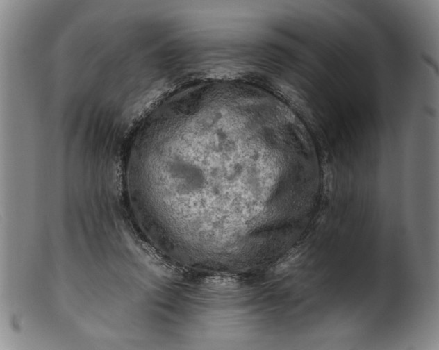 X0000099410354200805231610