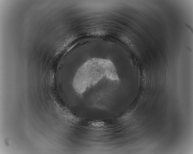 X0000099410355200805231610