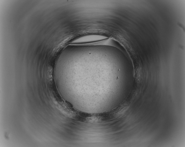 X0000099410356200805231610