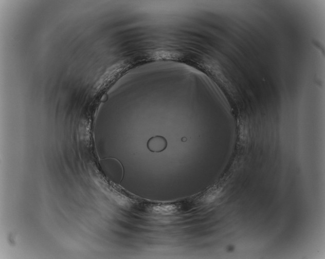 X0000099410357200805231610