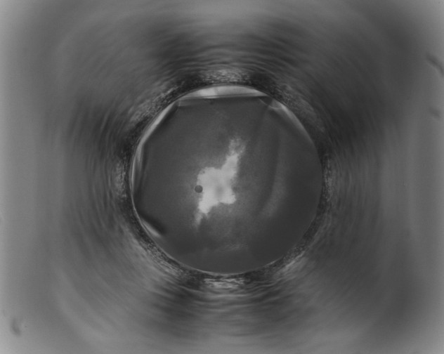 X0000099410359200805231610