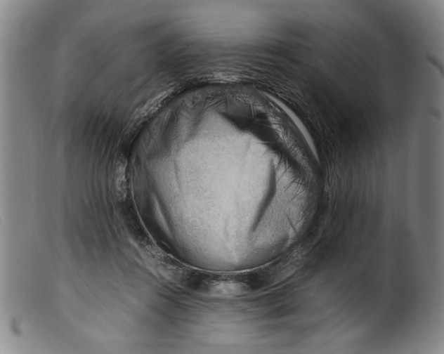 X0000099410360200805231610