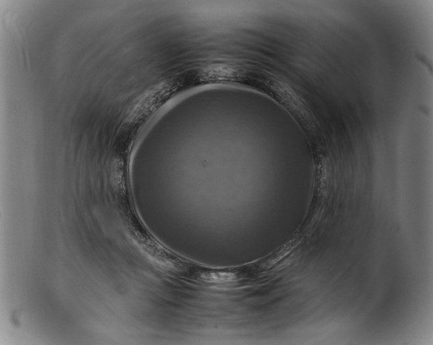 X0000099410361200805231610