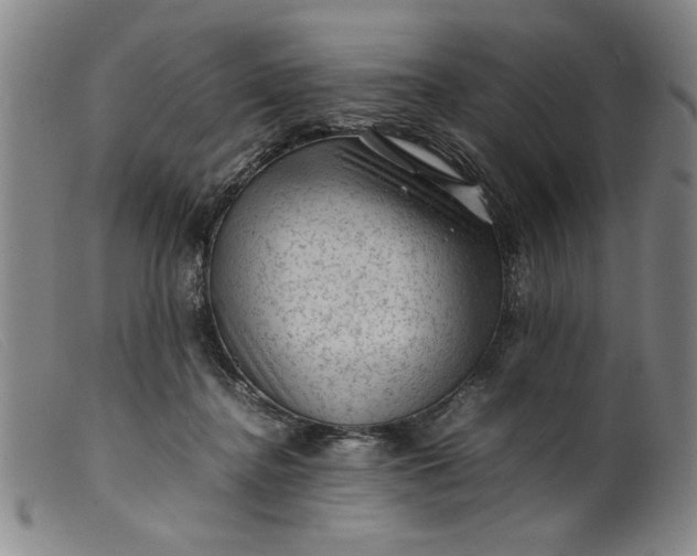 X0000099410364200805231610