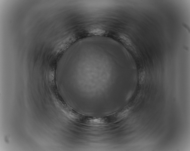 X0000099410365200805231610