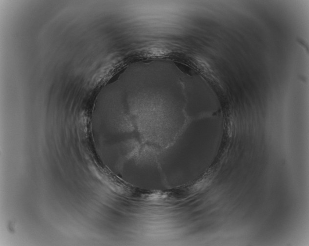 X0000099410366200805231610