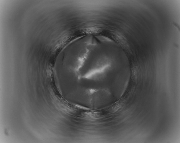 X0000099410367200805231610