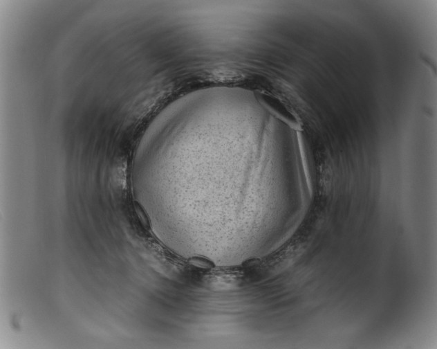 X0000099410368200805231610