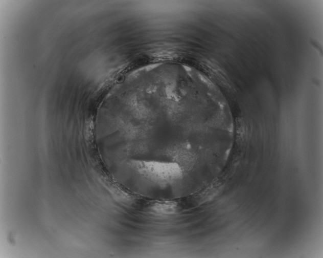 X0000099410369200805231610