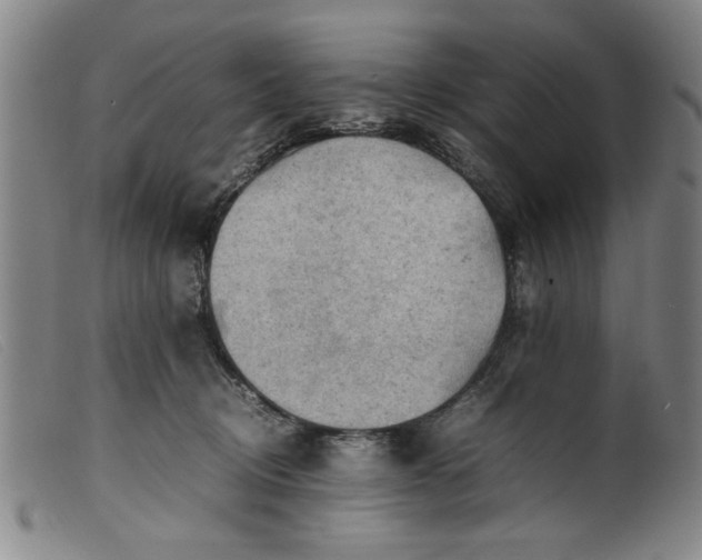 X0000099410370200805231610