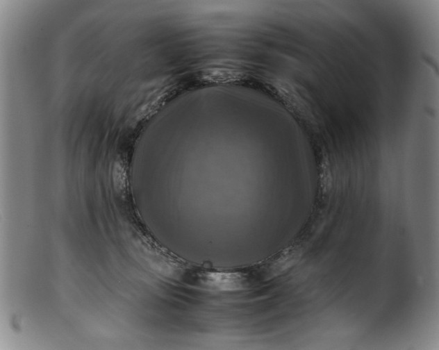 X0000099410371200805231610