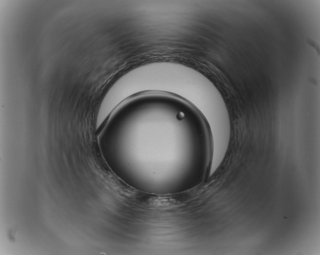 X0000099410372200805231610